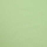 Jean's coton souple Dany vert d'eau anisé