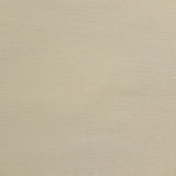 Fine Aviva Polyester Polyester Light canvas