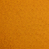 Dentelle polyester Sandrine moutarde