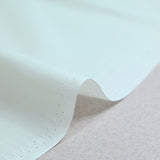 Coton soie Jeanne écru