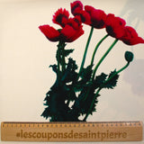 Crêpe viscose imprimé grands coquelicots fond écru