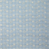 Cotton Vichy Seersucker embroidered blue sky background