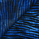 Black and electric blue zebra velvet jersey