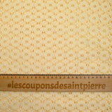 Dentelle festonnée fleurs ivoire