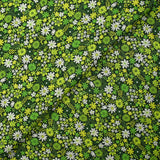 Coton imprimé prairie en fleurs anis fond vert foncé