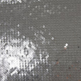 Sequins argentés sur tulle chair