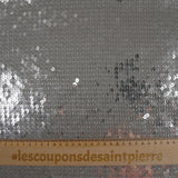 Sequins argentés sur tulle chair