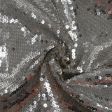 Sequins argentés sur tulle chair