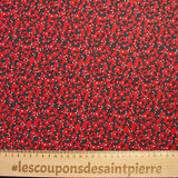 Popeline de coton imprimée arabesque fond rouge