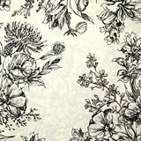 Coton imprimé crayonné de fleurs fond blanc cassé