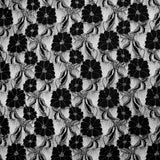 Dentelle polyester Martha métallisé argent fond noir