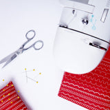 Machine à coudre Singer Madam 5