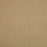 UNE Beige cotton