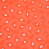 Broderie anglaise Konohana mandarine