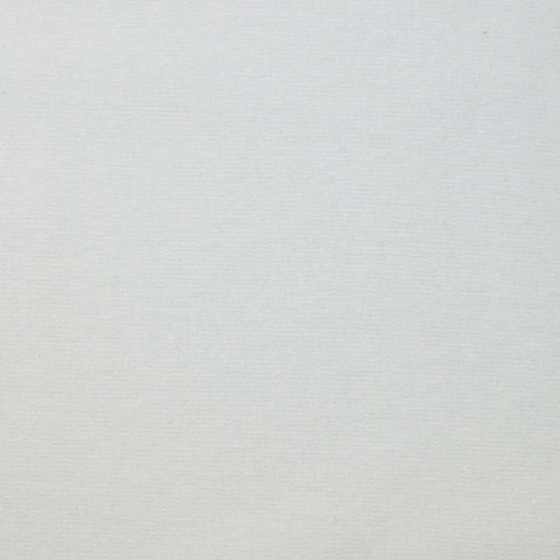 Jersey de viscose blanc