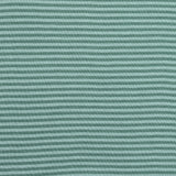 Jersey de coton rayé 3mm vert et bleu pâle
