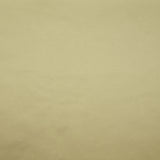 Beige elastane polycoton satin