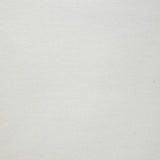 Jersey de coton interlock blanc