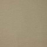 Coton élasthanne beige