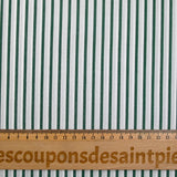Coton chemise rayé vert et blanc