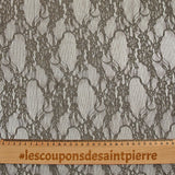 Polyester Lace Chloé Taupe Fondo