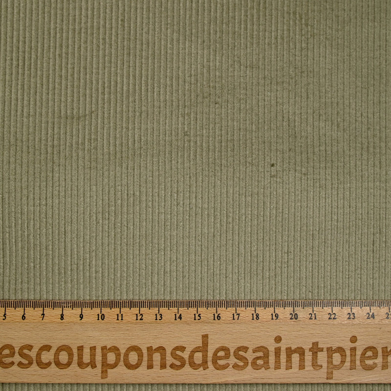 Velours côtelé de coton 3mm sauge argentée