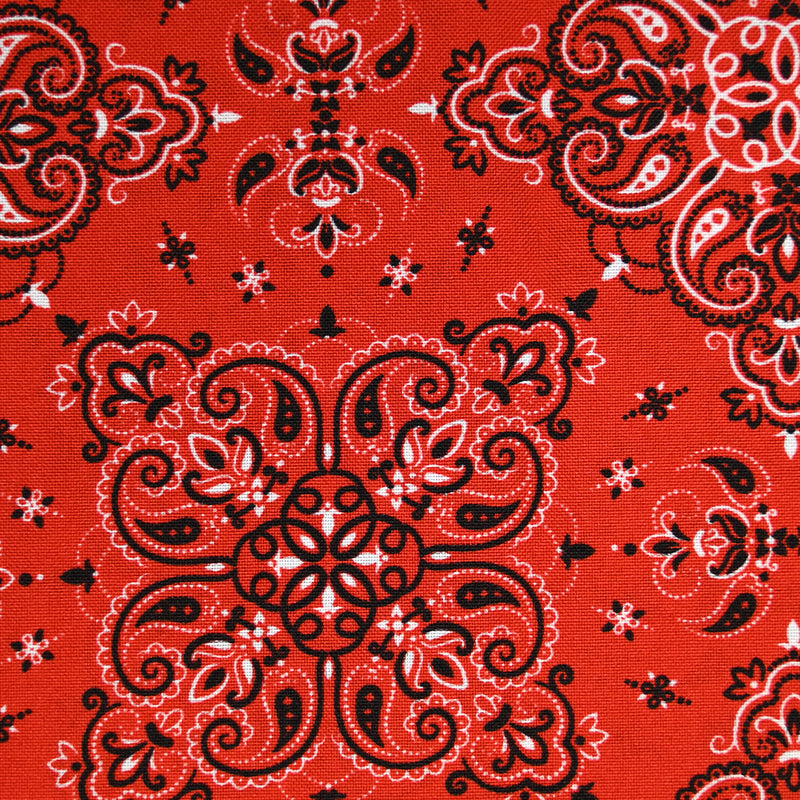 Tissu carnaval polyester ornement cachemire fond rouge