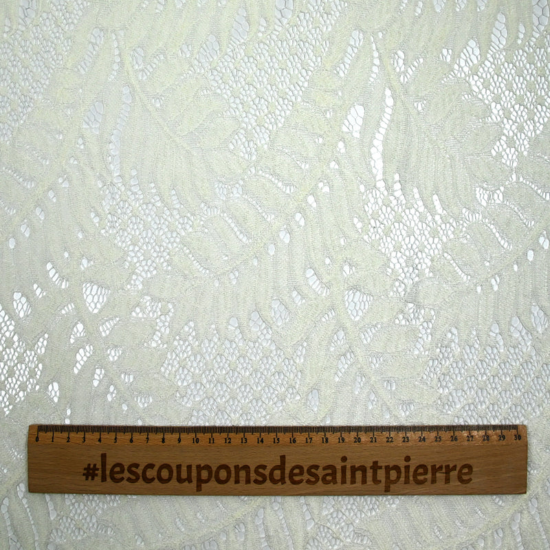 Frozen polyester lace broken white background