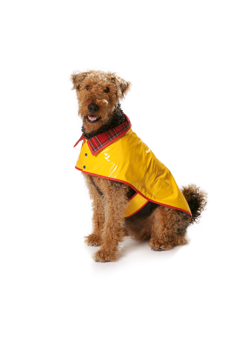 Patron n°7752 : Manteau pour chien