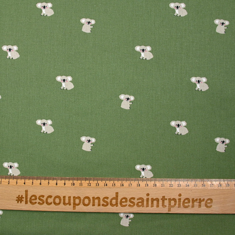 Coton imprimé koala fond vert