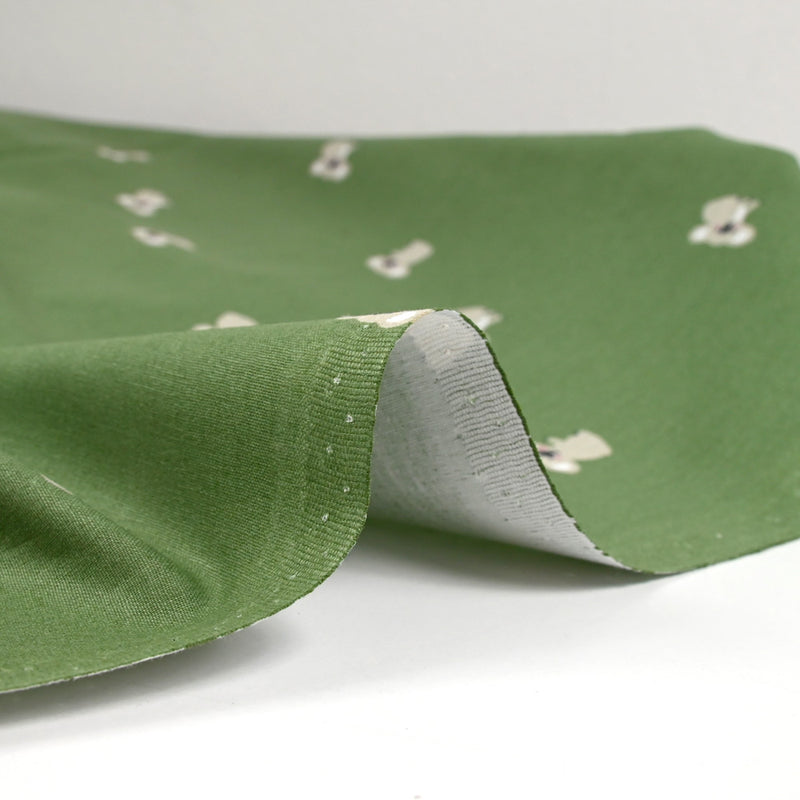 Coton imprimé koala fond vert