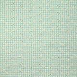 Coton Vichy seersucker brodé fond vert pastel