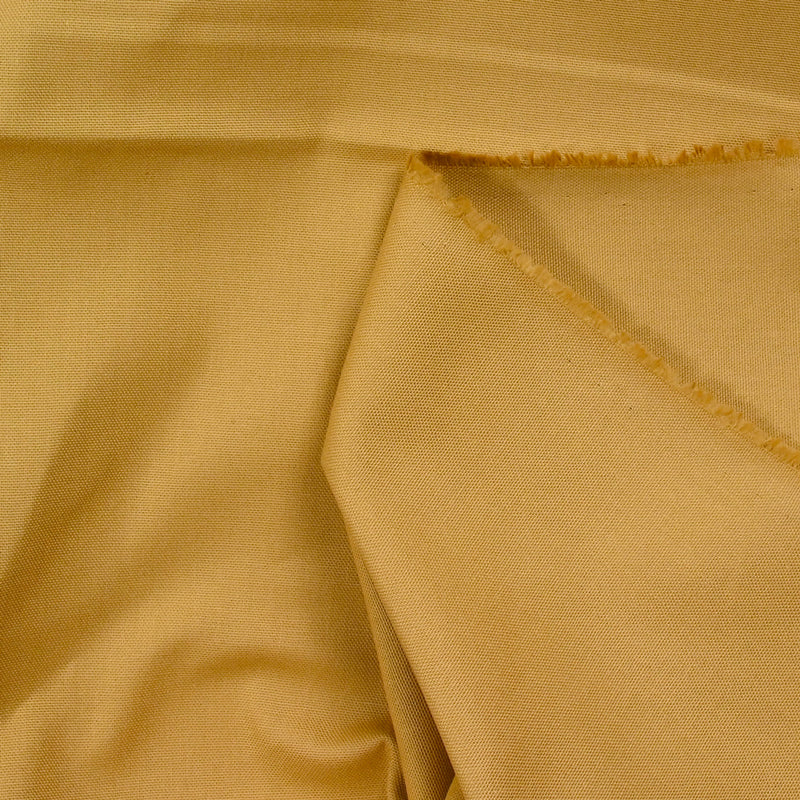 Coton camel