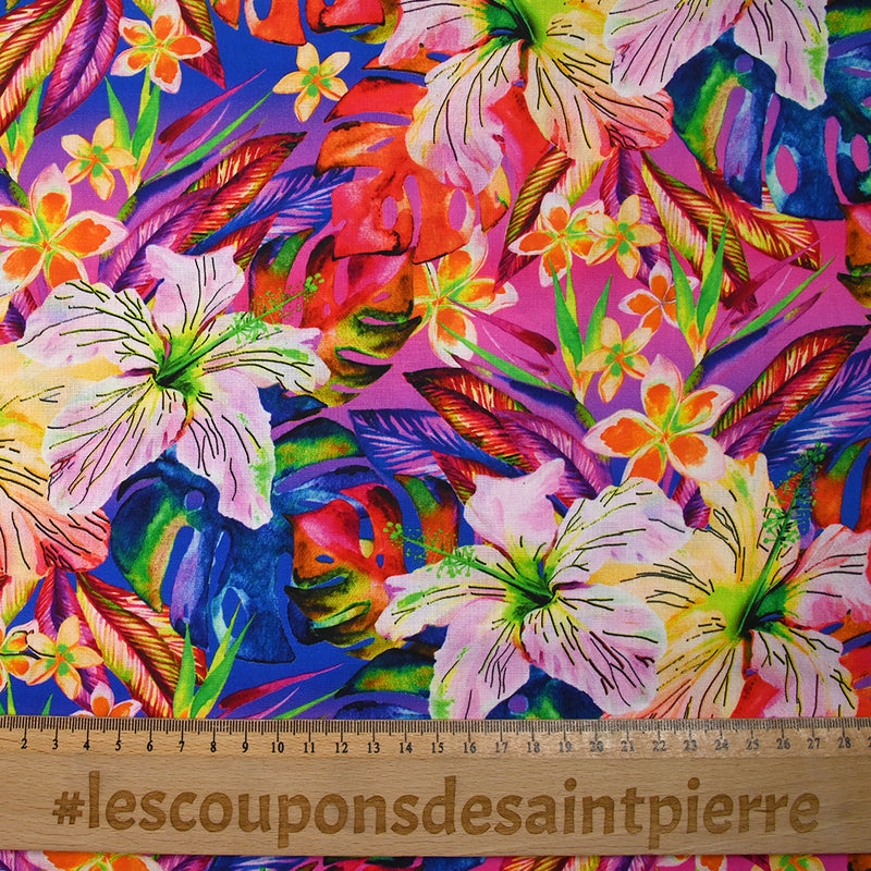 Coton imprimé sous les tropiques fond bleu roi, violet et fuchsia