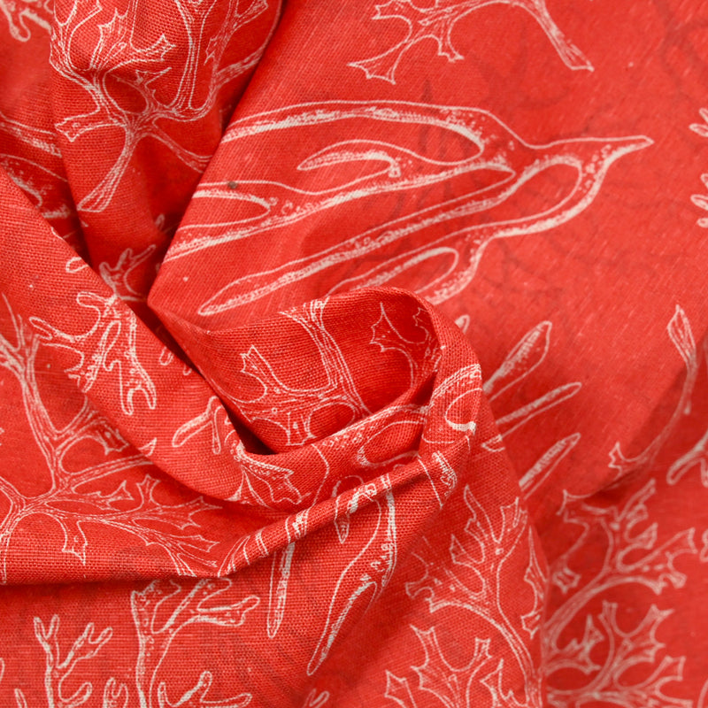 Orange Corail Polycotton Print