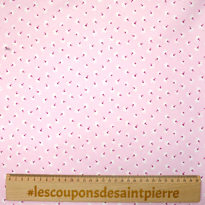 Coton imprimé pâquerette fond rose