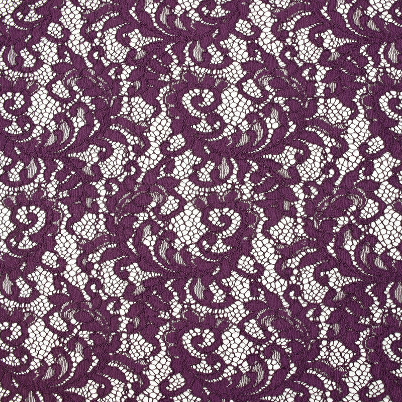 Dentelle festonnée Judith prune
