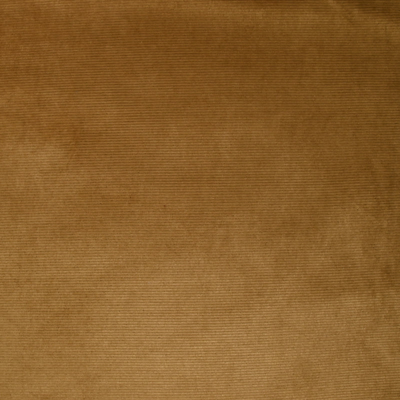 Jersey de velours côtelé tout doux ocre