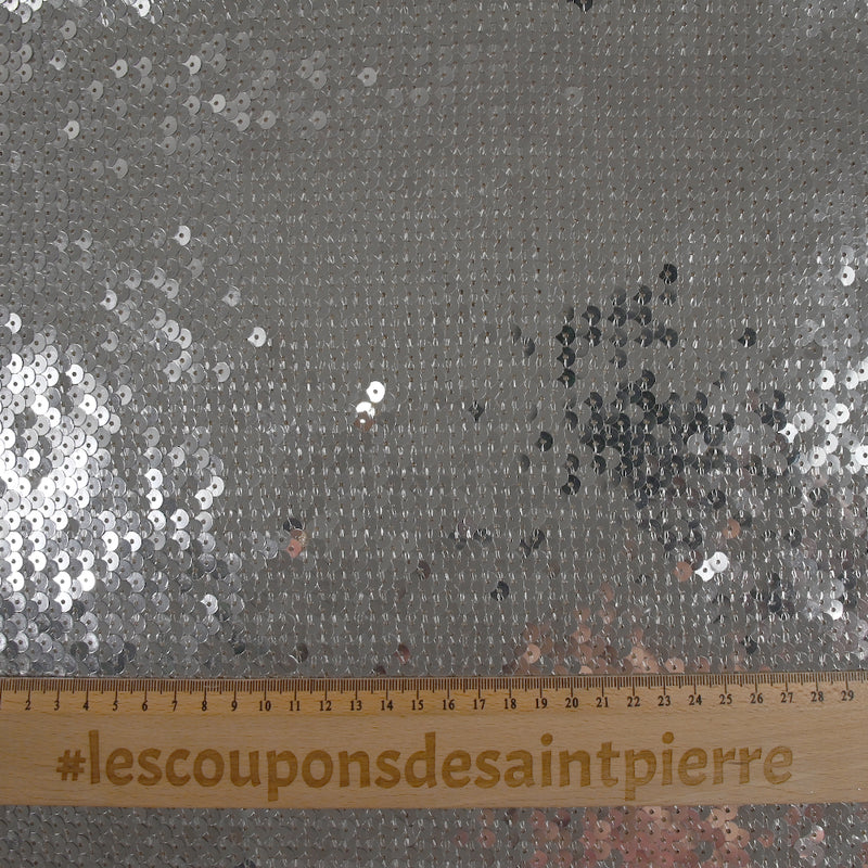 Sequins argentés sur tulle chair