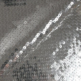Sequins argentés sur tulle chair