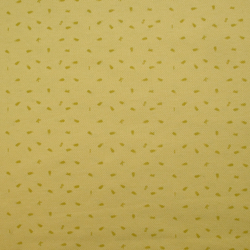 Maille polo coton imprimée sésame et lettres fond jaune