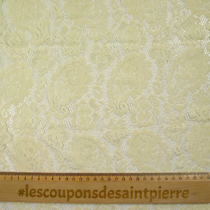 Dentelle polyester Ximena jaune pâle