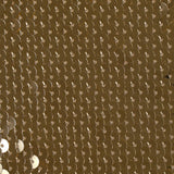 Sequins dorés sur maille chair