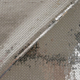 Sequins argentés sur maille chair