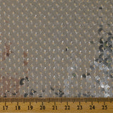 Sequins argentés sur maille chair