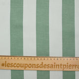 Coton tissé-teint rayé vert et gris clair