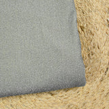 Jersey lurex argenté