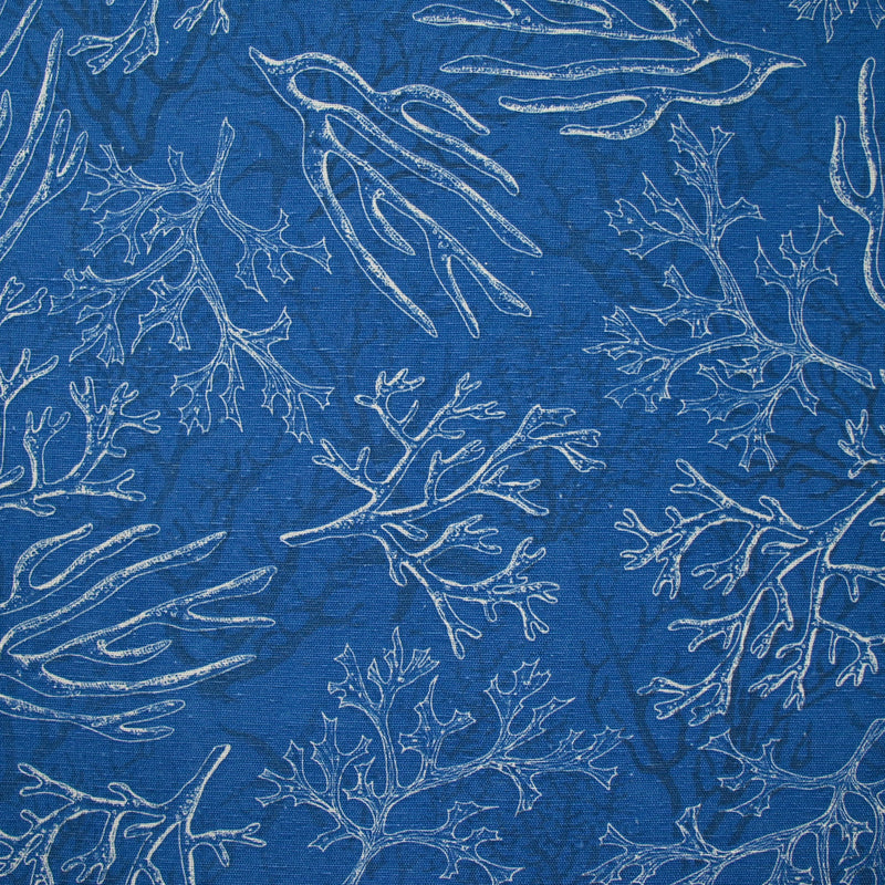 Polycoton imprimé corail fond bleu