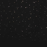 Double Gaze Noir Confettis Golden