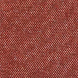 MAYA iridescent squirrel